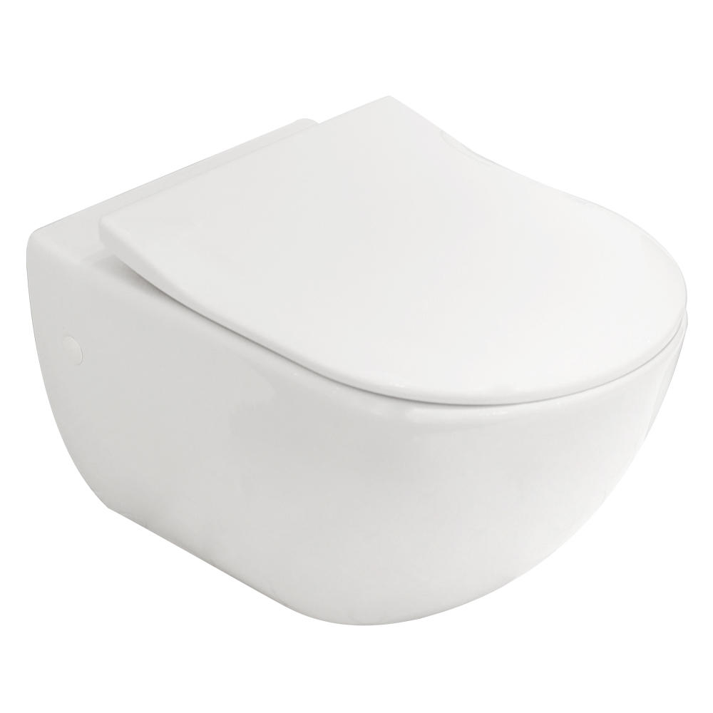 ledematen Voordracht Zielig Subway 3.0 TwistFlush Wall Hung Pan & Slim Seat | Argent Australia