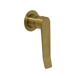 Shower Mixer Tapware | Accessibility | Brushed Gold